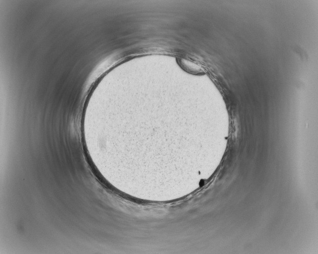 X0000115280004200911272016