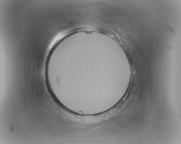 X0000115280006200911272016