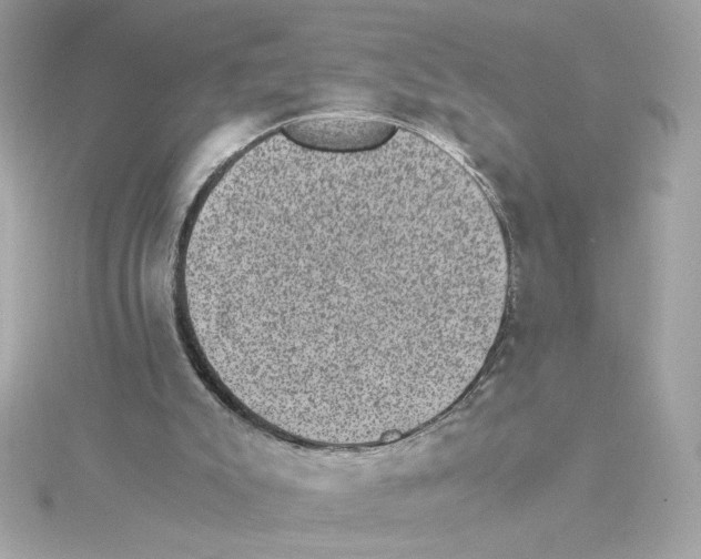 X0000115280007200911272016