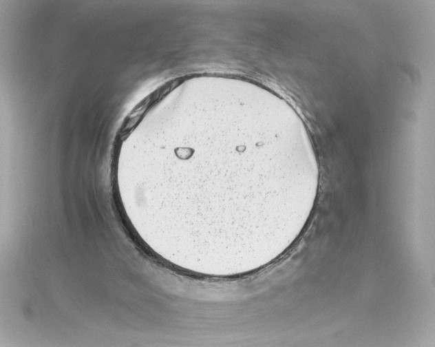 X0000115280008200911272016