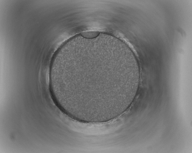 X0000115280011200911272016