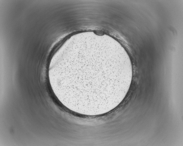 X0000115280012200911272016