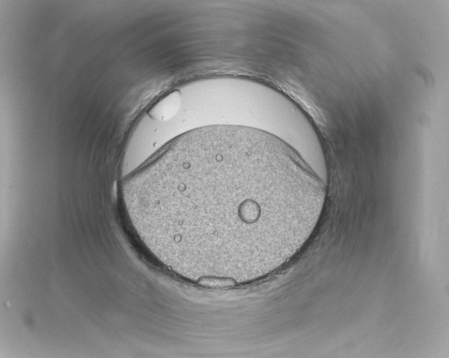 X0000115280014200911272016