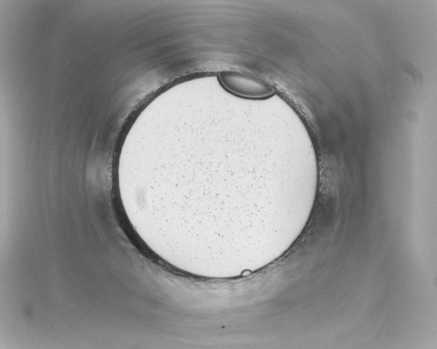 X0000115280015200911272016