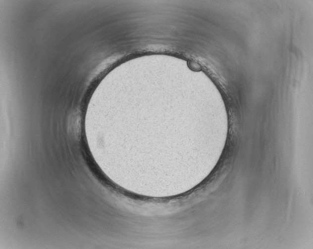 X0000115280016200911272016