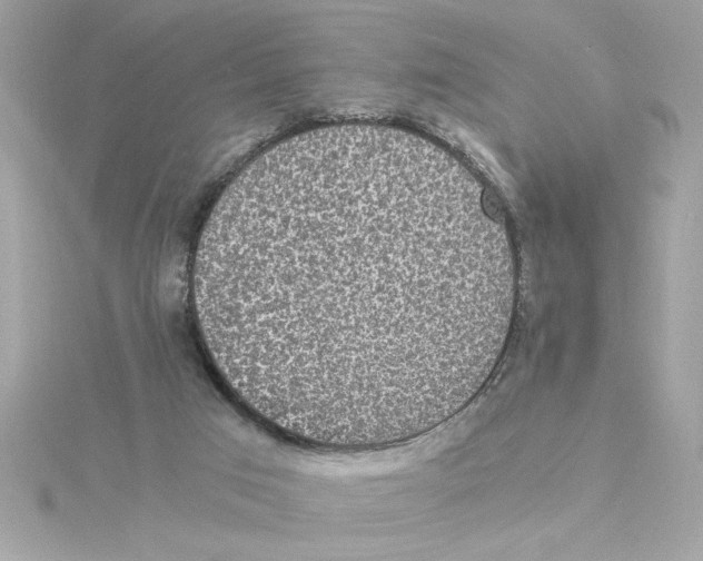 X0000115280017200911272016