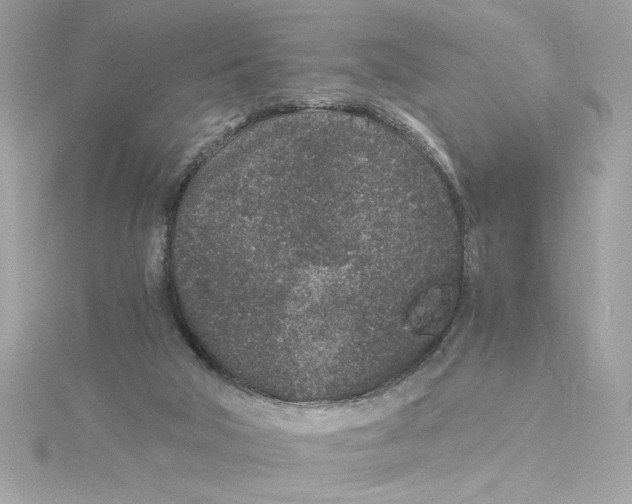 X0000115280018200911272016