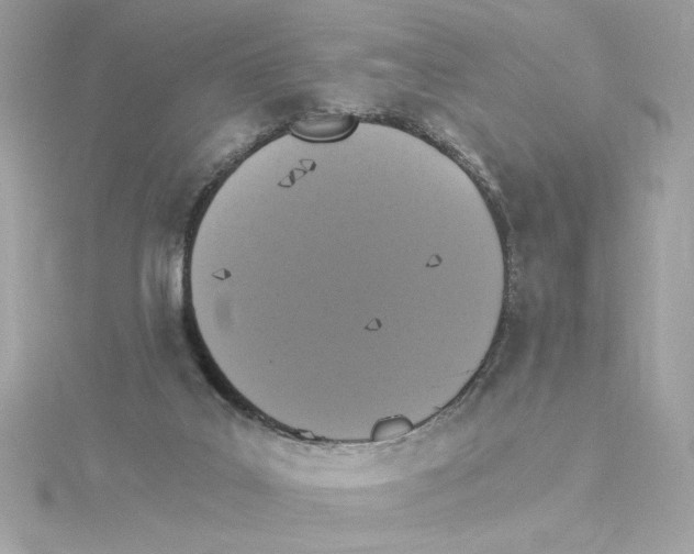 X0000115280019200911272016