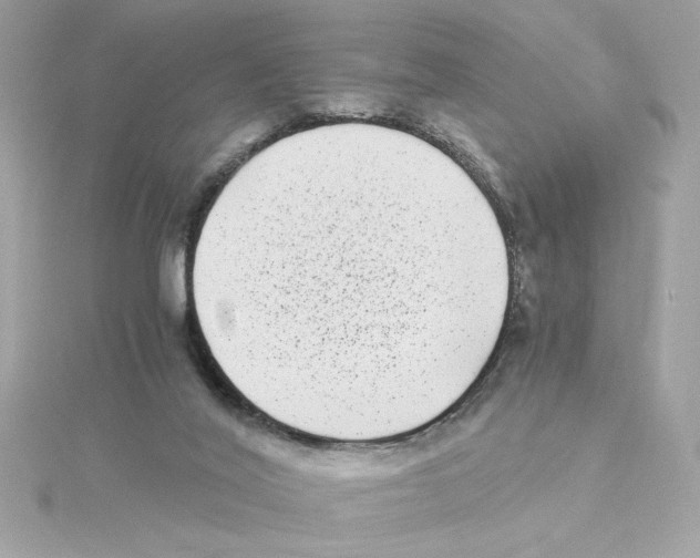 X0000115280020200911272016