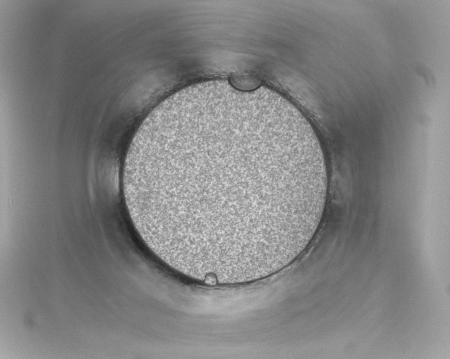 X0000115280021200911272016