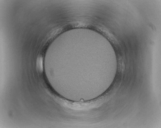 X0000115280022200911272016