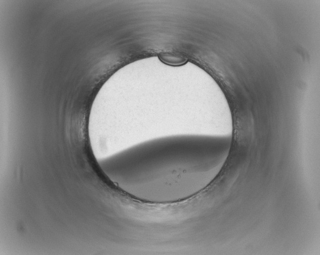 X0000115280023200911272016