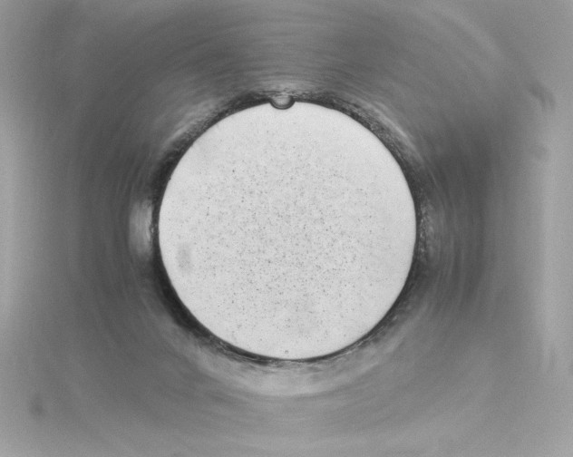 X0000115280024200911272016