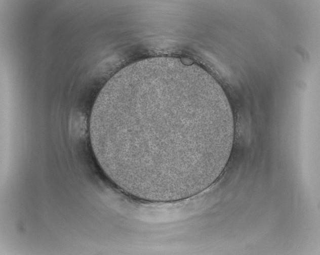 X0000115280025200911272016