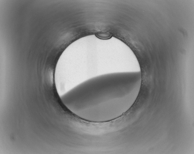 X0000115280027200911272016