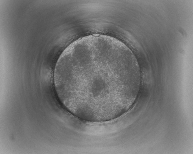 X0000115280029200911272016