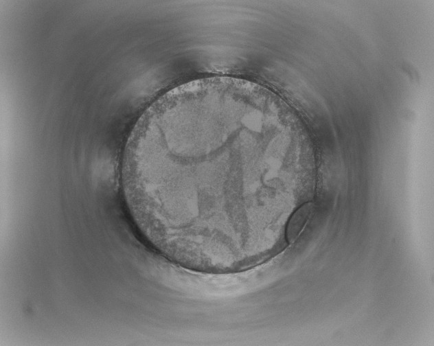 X0000115280031200911272016