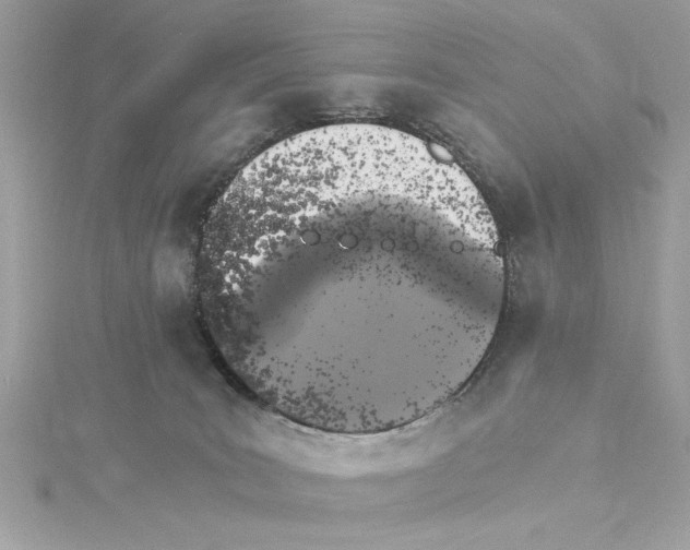 X0000115280035200911272016