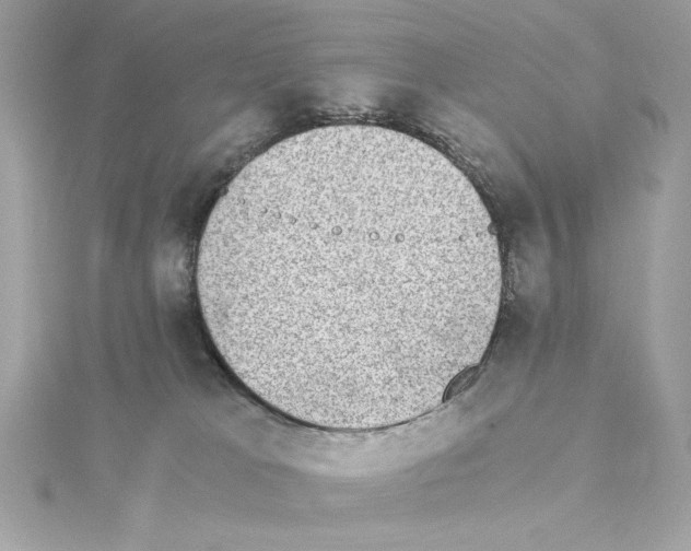 X0000115280037200911272016