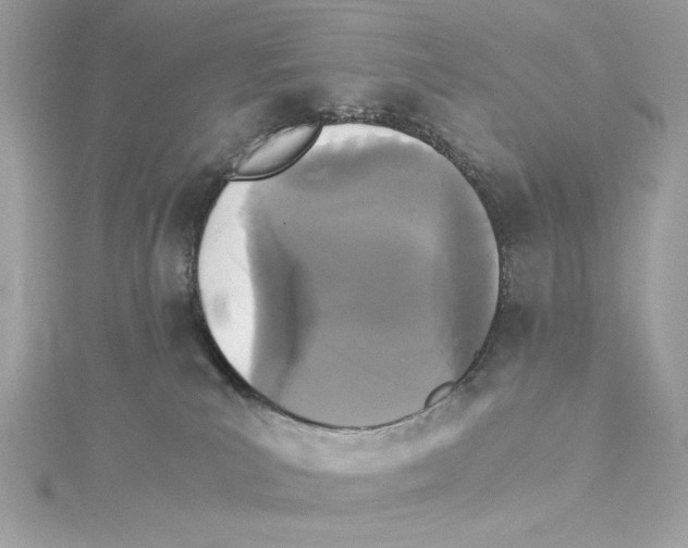 X0000115280039200911272016