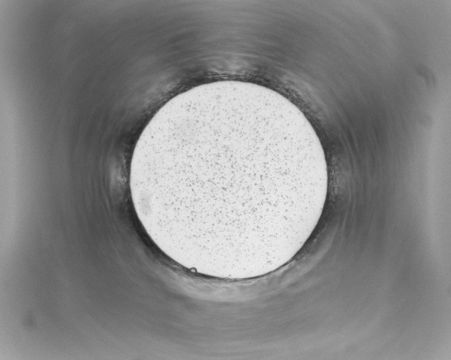 X0000115280040200911272016