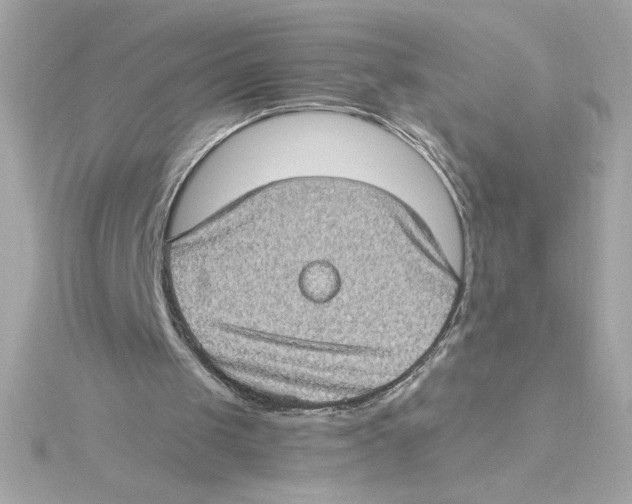 X0000115280049200911272015