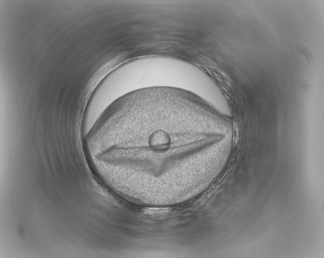 X0000115280051200911272015