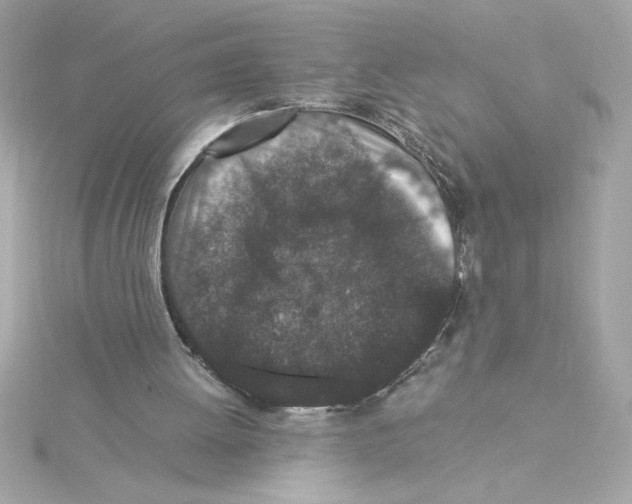 X0000115280052200911272015