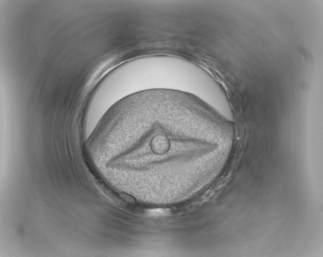 X0000115280053200911272015