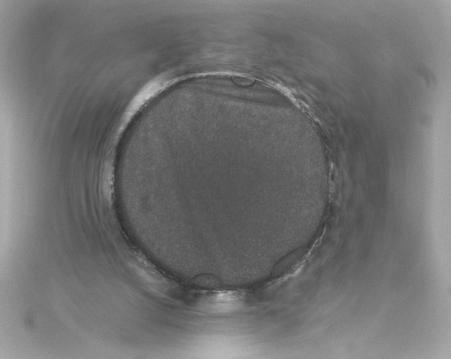 X0000115280056200911272015