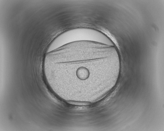 X0000115280057200911272015