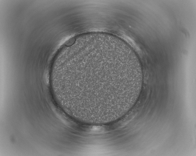 X0000115280060200911272015