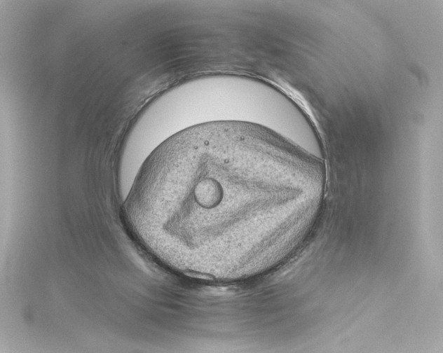 X0000115280061200911272015