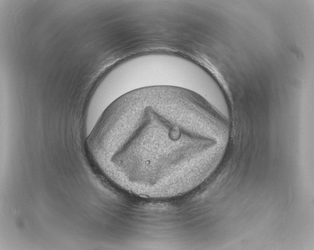 X0000115280063200911272015