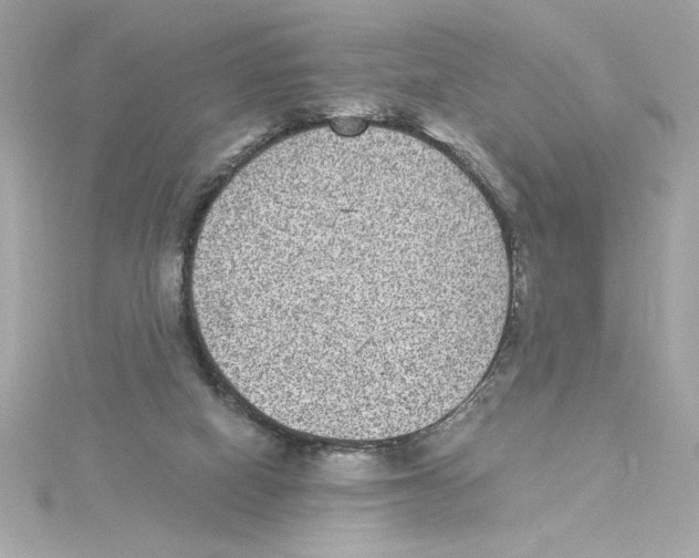 X0000115280066200911272015