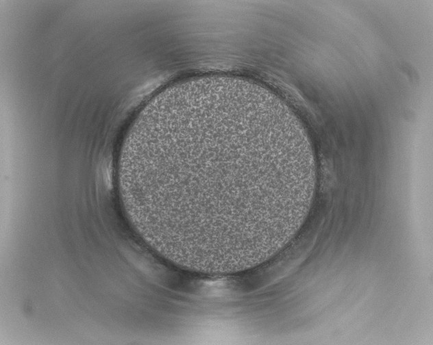 X0000115280068200911272015