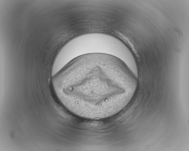 X0000115280069200911272015