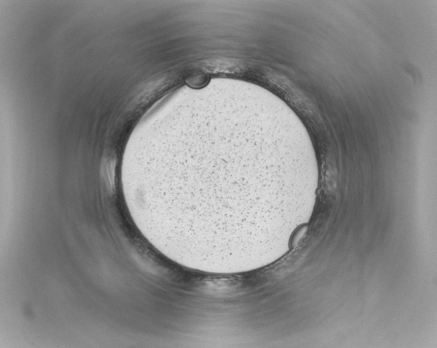 X0000115280070200911272015