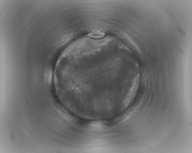 X0000115280076200911272015