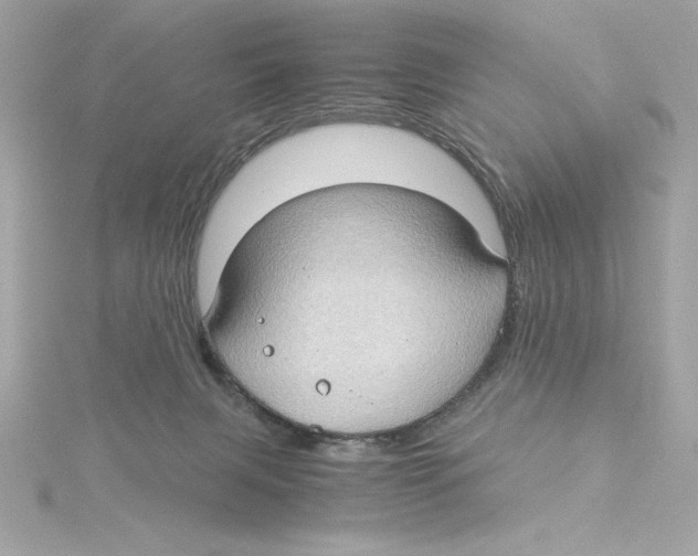 X0000115280079200911272015