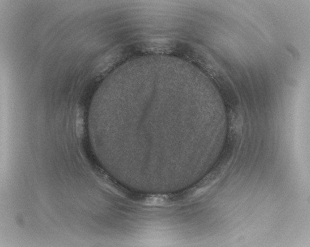 X0000115280080200911272015