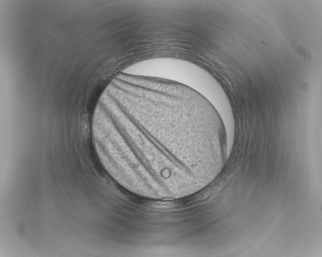 X0000115280085200911272015