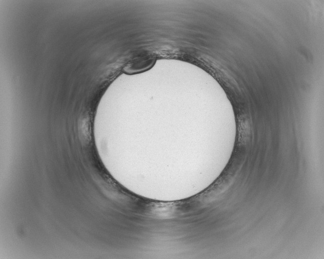 X0000115280088200911272015