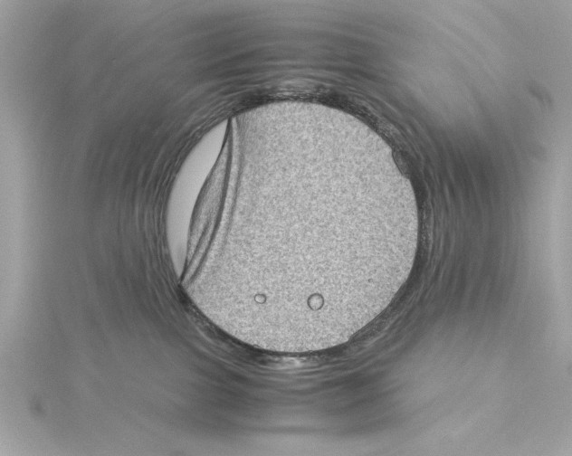 X0000115280091200911272016