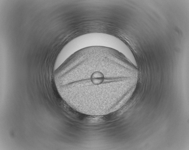 X0000115280093200911272016