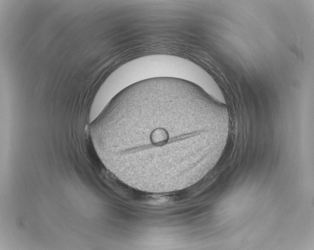 X0000115280095200911272016