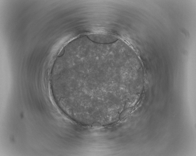 X0000115280097200911272015