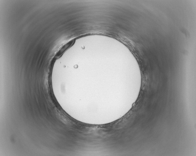 X0000115280098200911272015