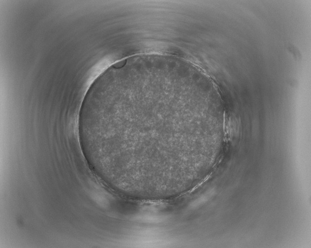 X0000115280099200911272015