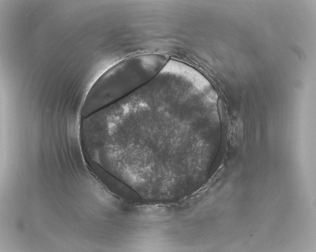 X0000115280100200911272015